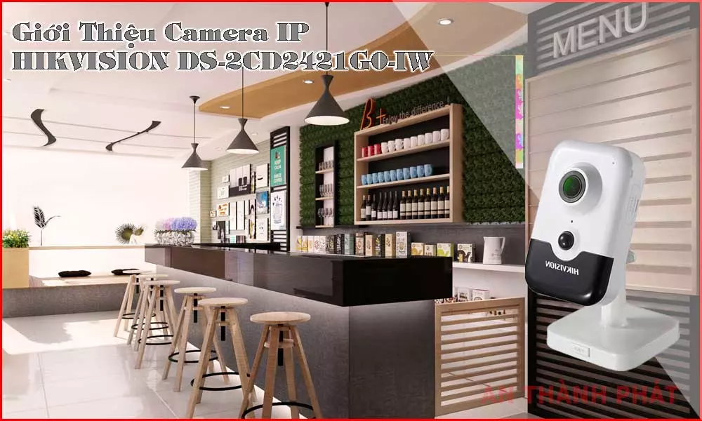 Camera quan sát IP HIKVISION DS-2CD2421G0-IW